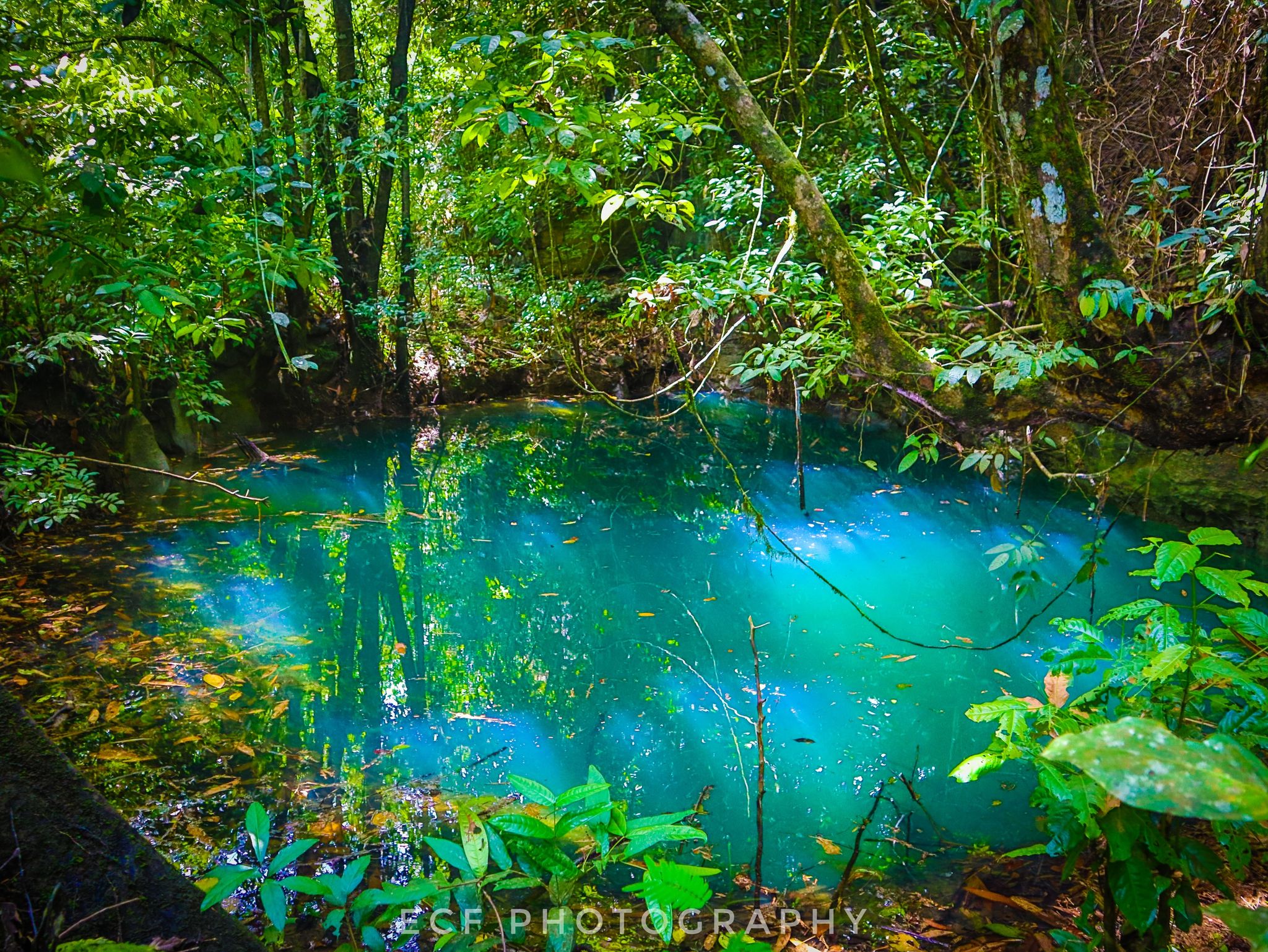 <b class="font-bara"><i class="bi bi-geo-fill h4"></i> Blue Lagoon</b> <br/>Located at Brgy.Bayogo, Madrid, Surigao del Sur

Notice to Public: NOT YET OPEN but SOON